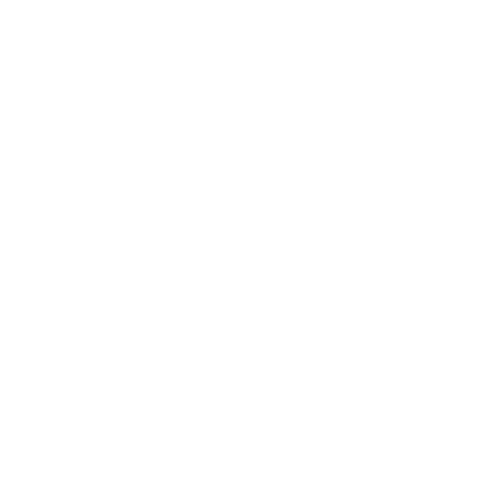 Roos Consult Logo